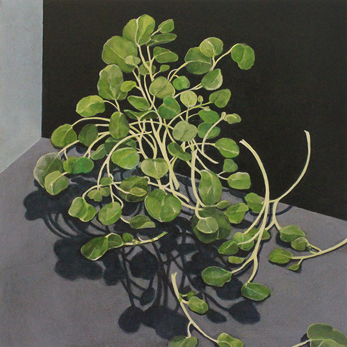 Sally Pettus painting, Watercress